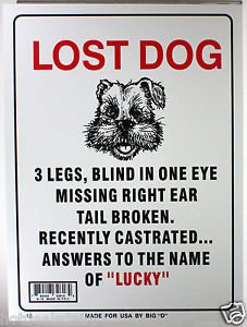 lost-dog-lucky-plaque-a.jpg