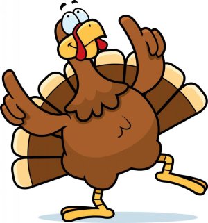 turkey.jpg
