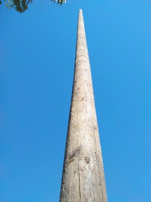 Pole Up.jpg