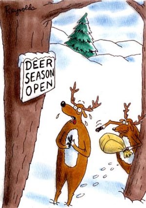 Deer Season.jpg