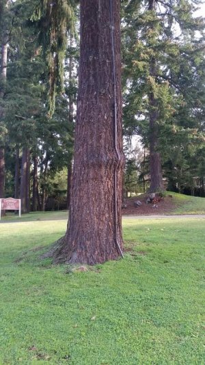 20170127_100618_resized.jpg