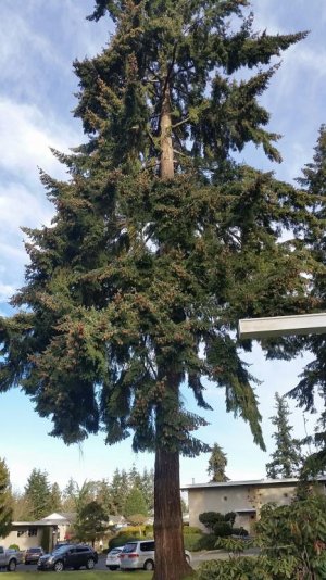 20170127_100707_resized.jpg