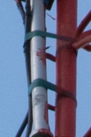 k247cp-4.jpg