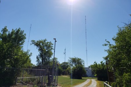 890-WLS_2020.jpg