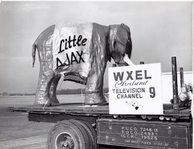 WXEL Little Ajax closeup1.jpg