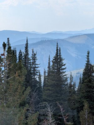 PXL_20250830_220332426.jpg