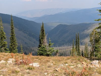 PXL_20250830_213902794.jpg