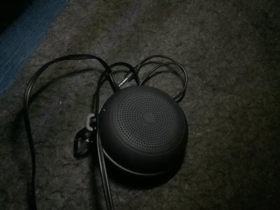 IMG_3667.jpeg