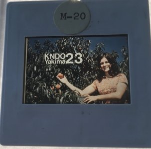 IMG_8171.jpeg IMG_8171.jpeg