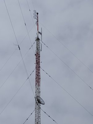 IMG_20260117_134918504.jpg