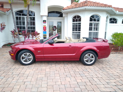 small mustang.png
