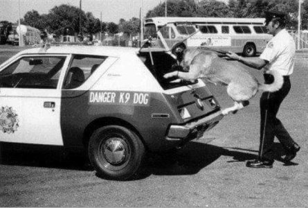 2569fa2459efdc26928976733e0189c0--the-gremlins-police-cars.jpg