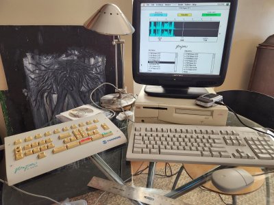 20230904_171146.jpg