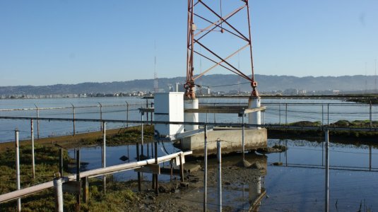 SAN FRANCISCO MARCH 2012 011.JPG