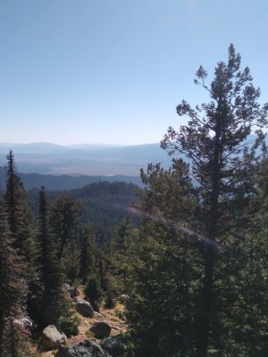 20240928_153426.jpg