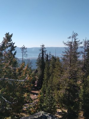 20240928_153429.jpg