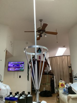 IMG_0015.jpeg
