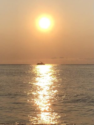 jerseysunrise.jpg