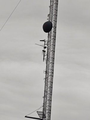 IMG_20250307_150257437.jpg