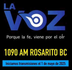 1746165459044.png