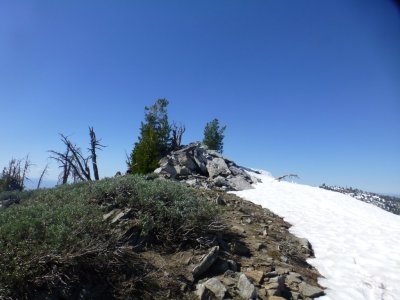 P1130438.JPG