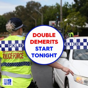 demerit.jpg