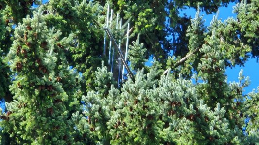 20250812_K225DI_Tacoma.jpg 20250812_K225DI_Tacoma.jpg