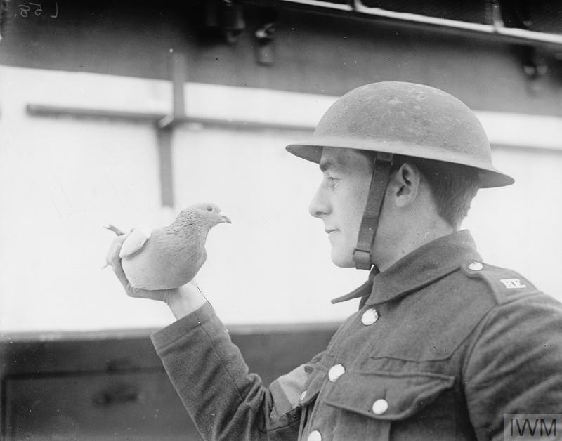 www.iwm.org.uk