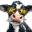 wcjw.com