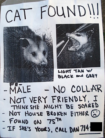 lostpossum1380731743.jpg