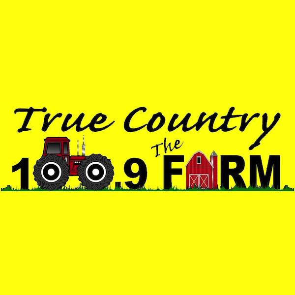 radioinsight.com