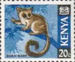 kbcnairobi.jpg