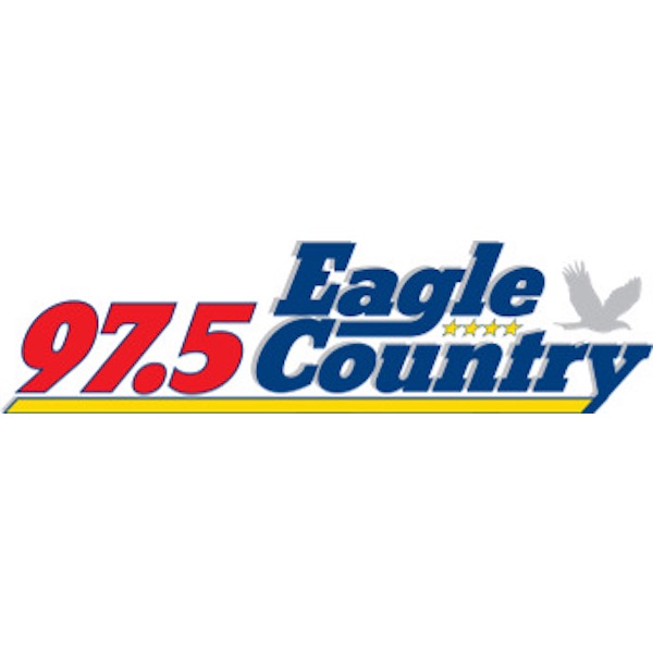 radioinsight.com