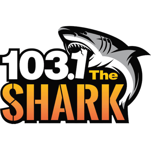 radioinsight.com