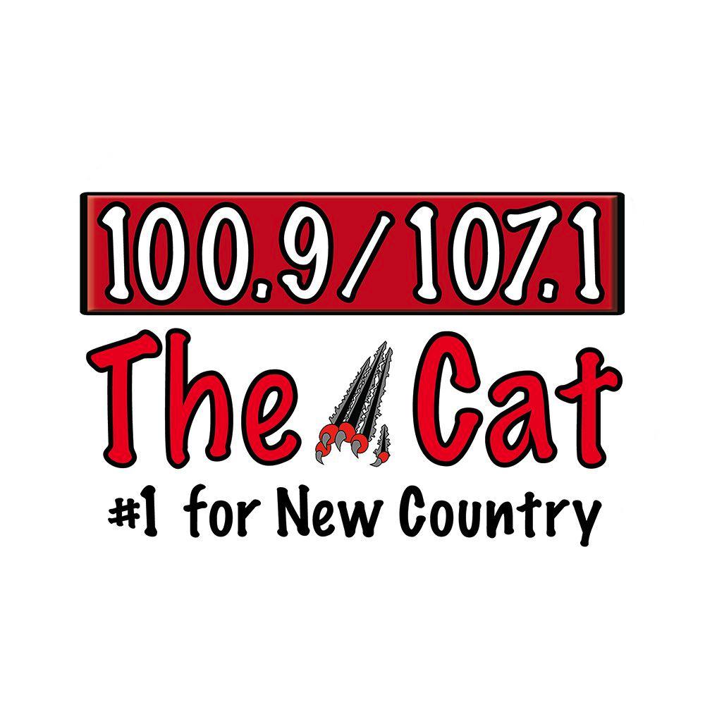 radioinsight.com
