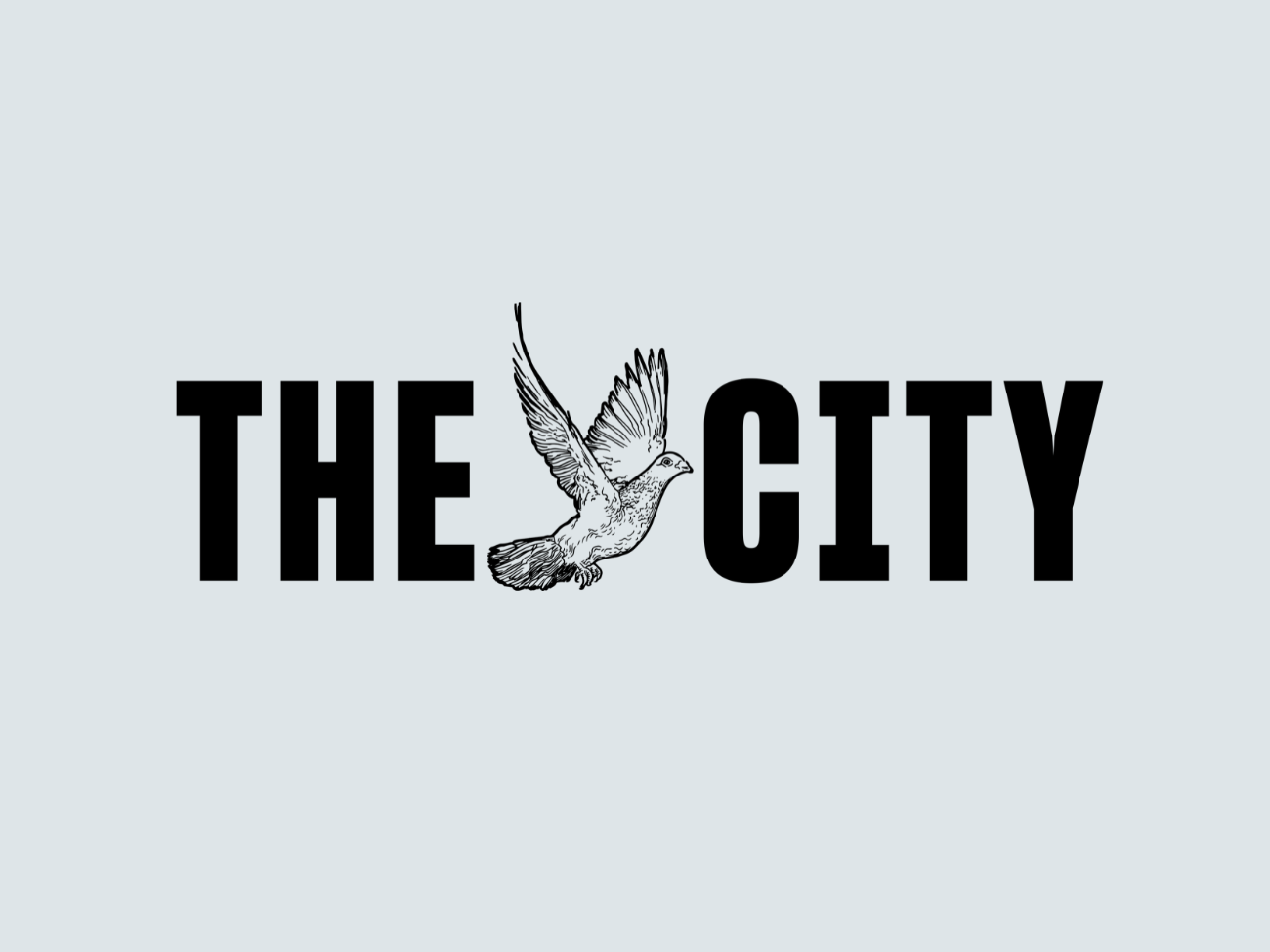 www.thecity.nyc