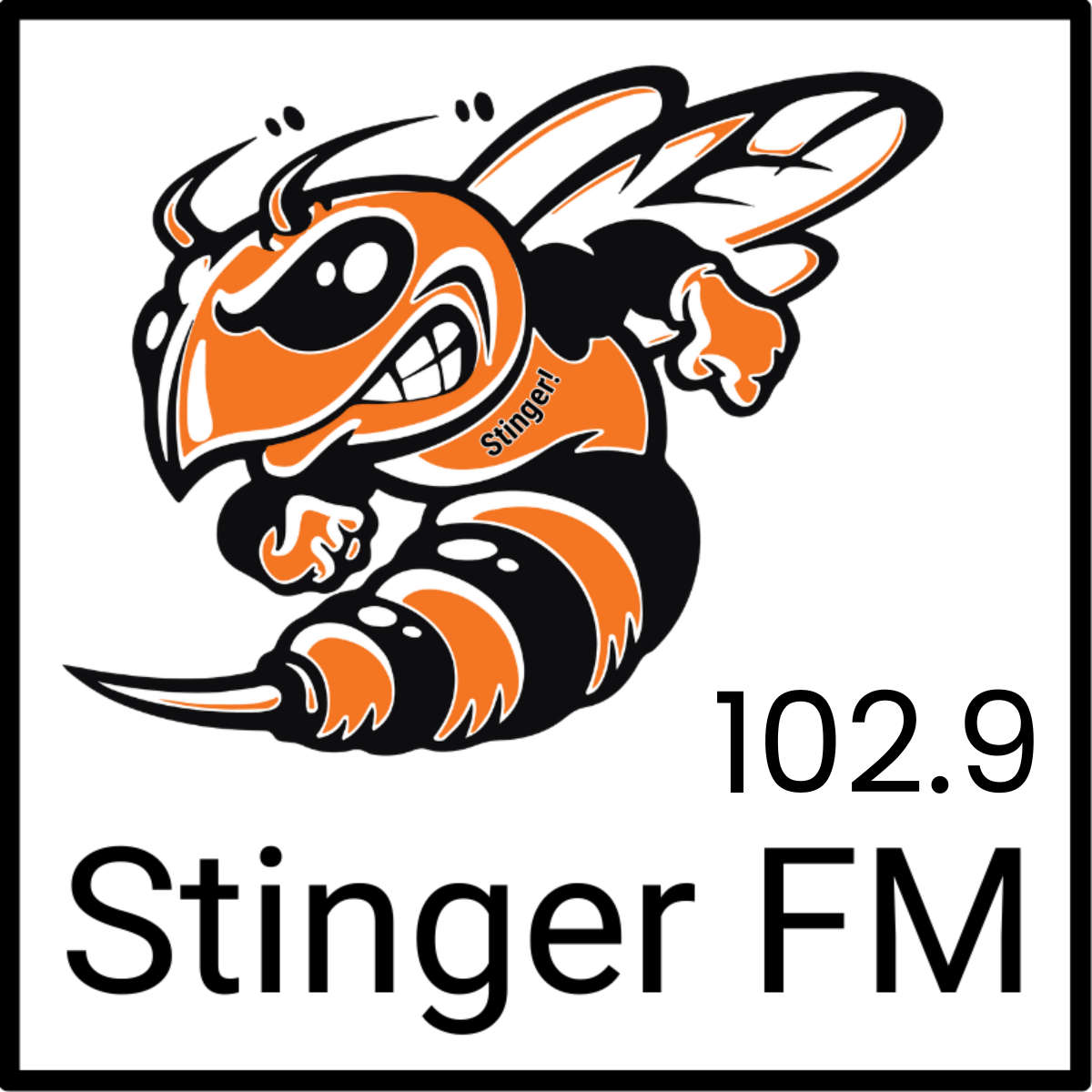www.stingerfm.com