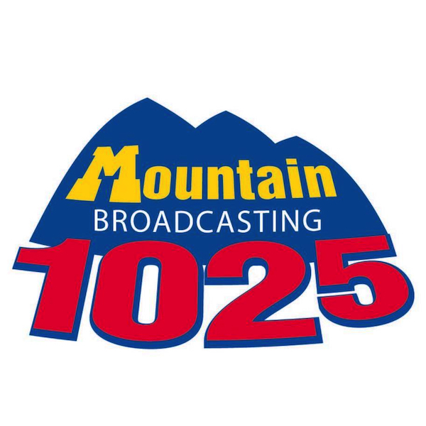 radioinsight.com