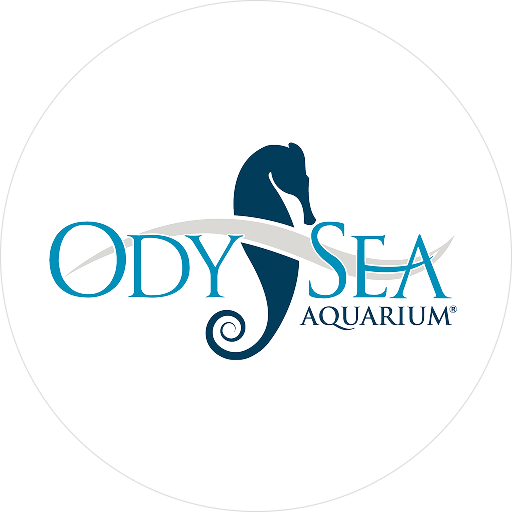 www.odyseaaquarium.com