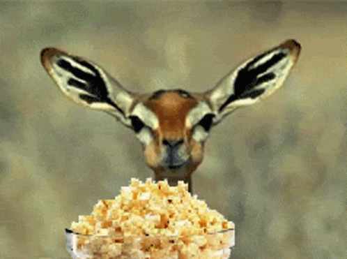 izctrl-popcorn.gif