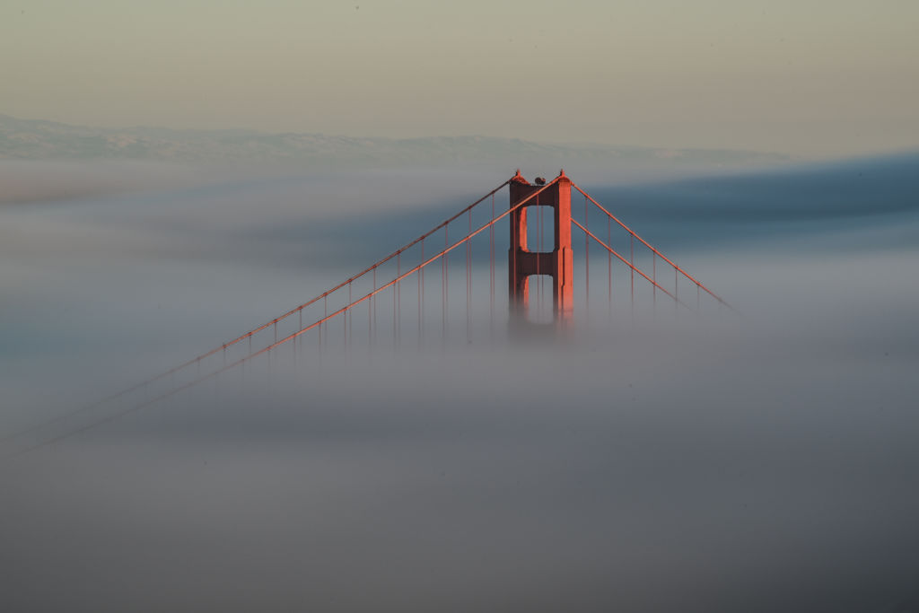www.sfgate.com