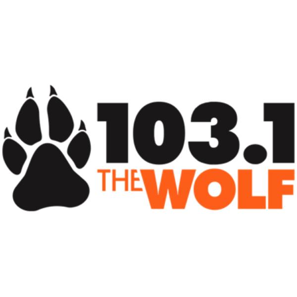 radioinsight.com