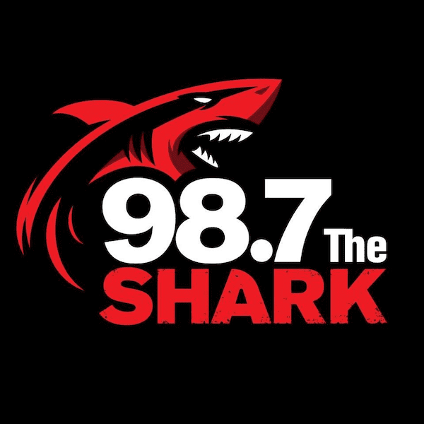 radioinsight.com